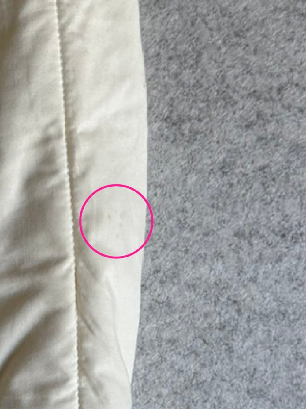 Everlane Quilted Jacket - Picture 7 of 7